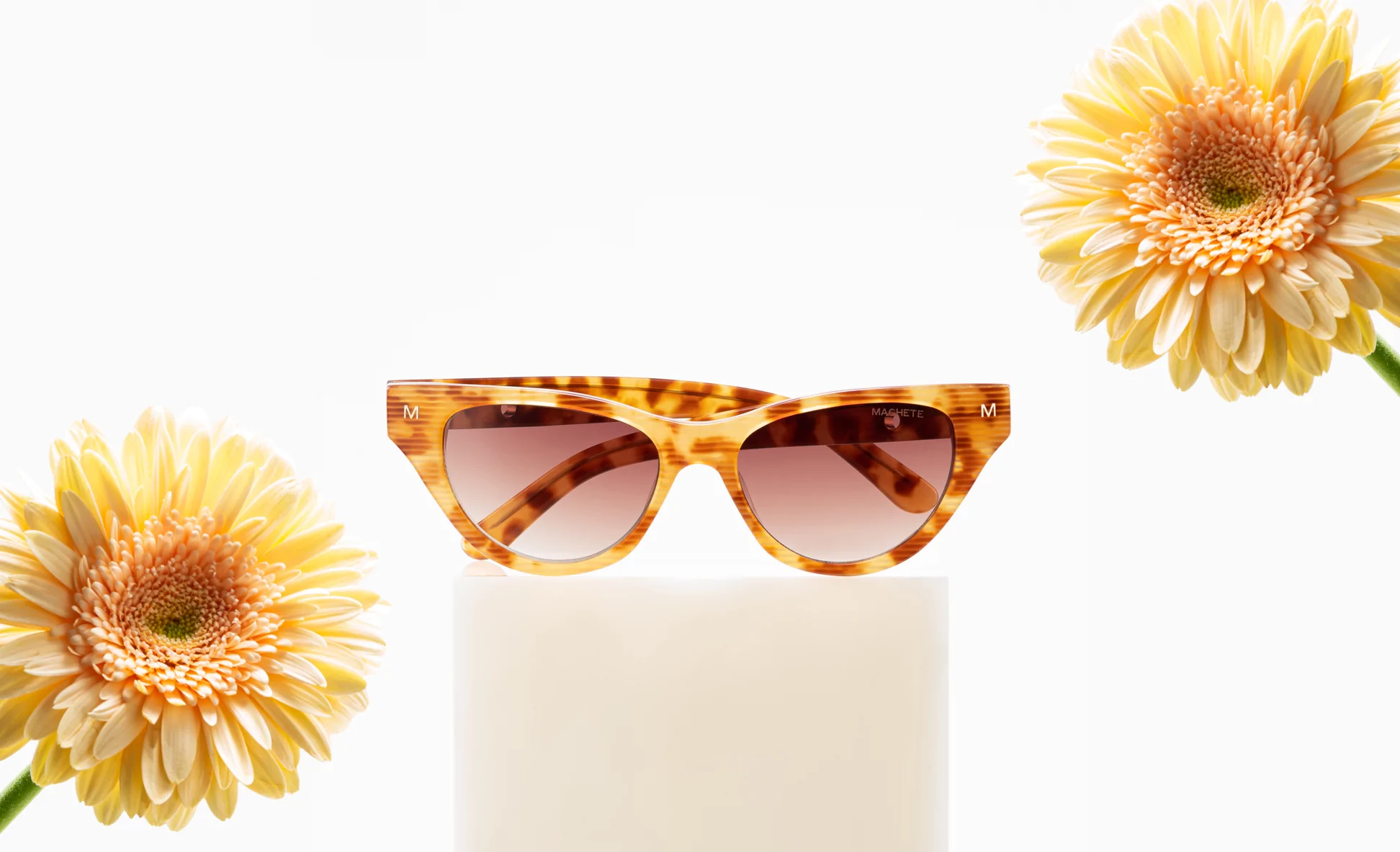 Machete Elegant store -Machete Jewelry Store Machete New Eye Wear 750 Edit desktop